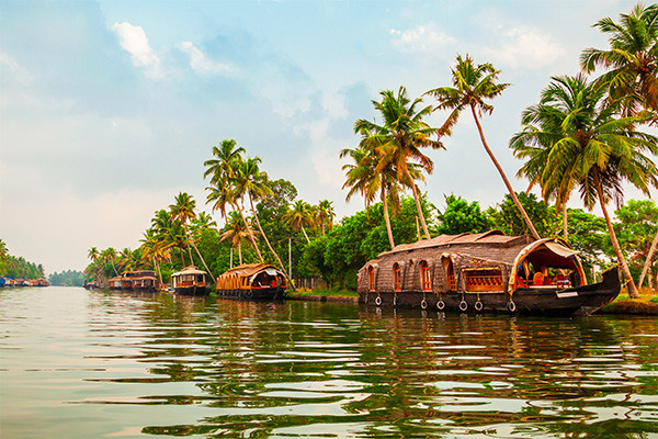 Circuit Des cités royales aux lagunes du Kerala *** - 4