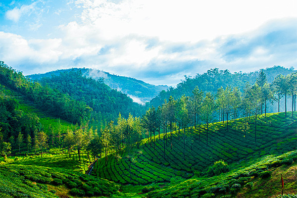 Circuit Des cités royales aux lagunes du Kerala *** - 15