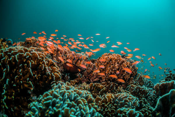 Circuit Circuit Bali Active & Explore et fun à Gili Trawangan - 13