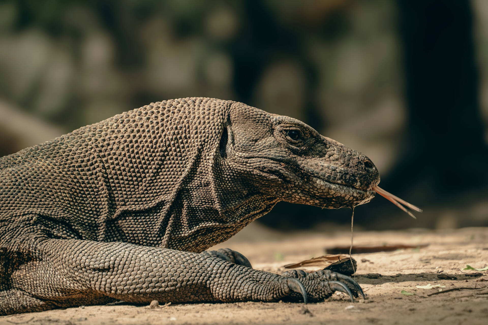 Indonésie - Circuit Rizières d'émeraude et lagons silencieux : Evasion à Bali et Nusa Lembogan