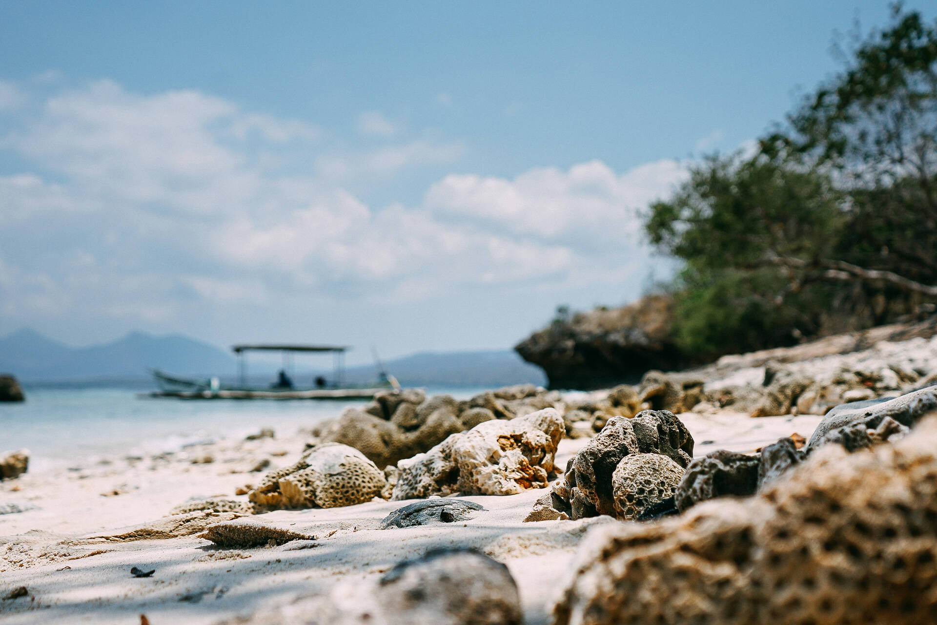 Indonésie - Circuit Rizières d'émeraude et lagons silencieux : Evasion à Bali et Nusa Lembogan