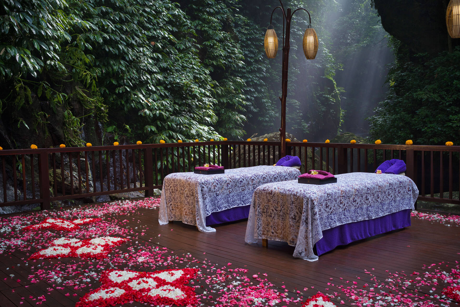 Hôtel Nandini Jungle by Hanging Gardens ***** - 7
