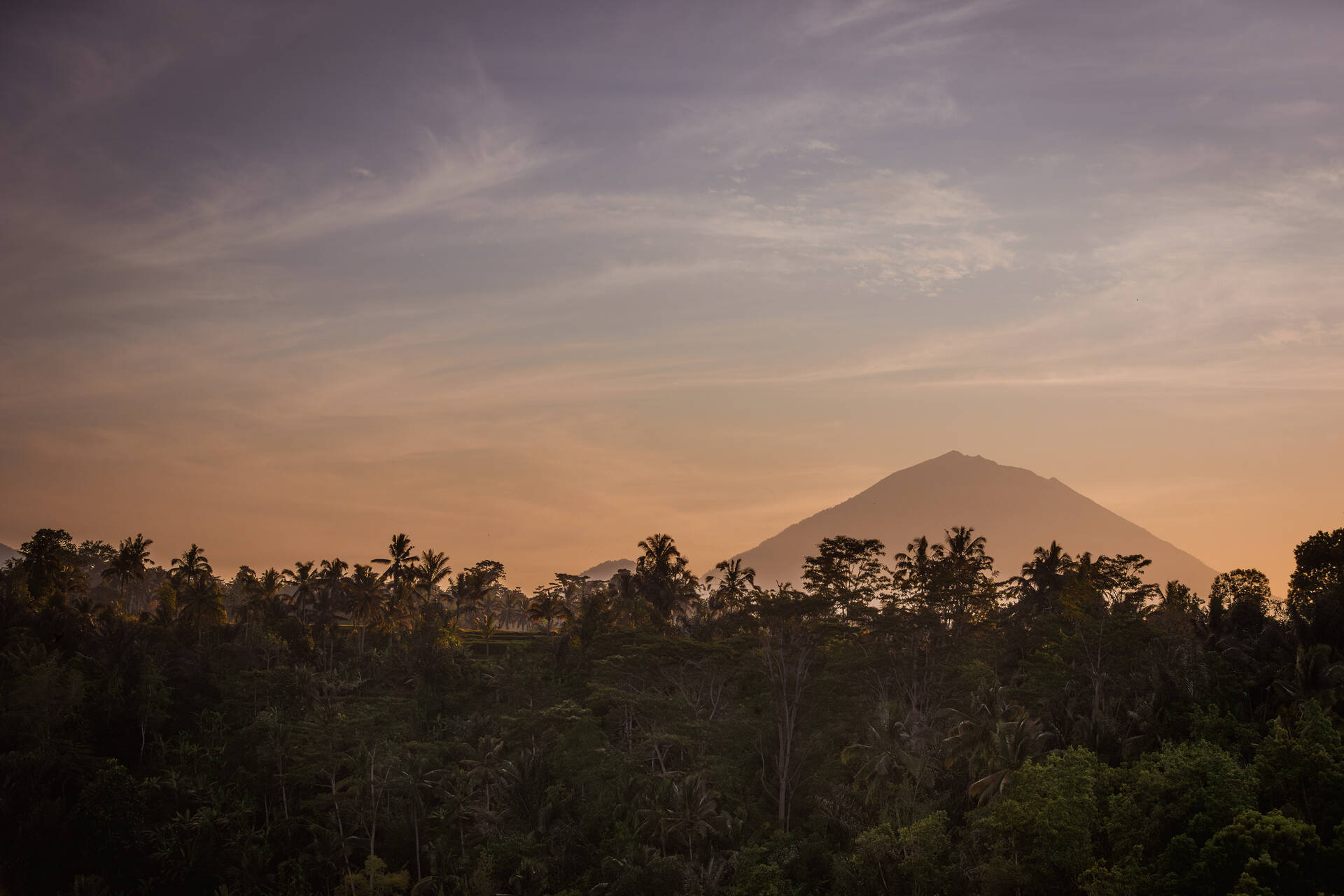 Hôtel Anantara Ubud Bali Resort ***** - 8