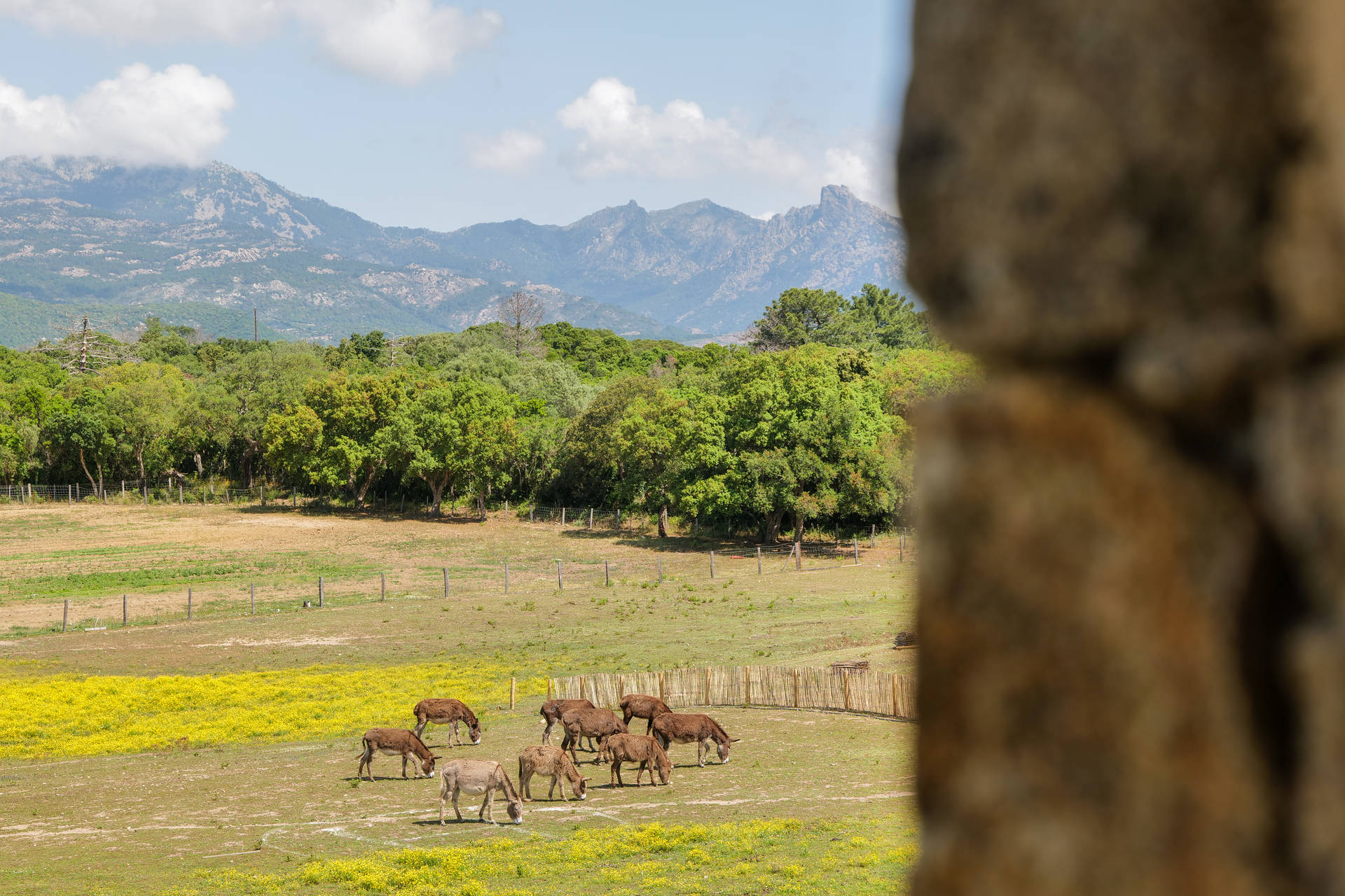 Image 7 du séjour Hôtel Domaine Pozzo di Mastri **** à Porto vecchio, Corse