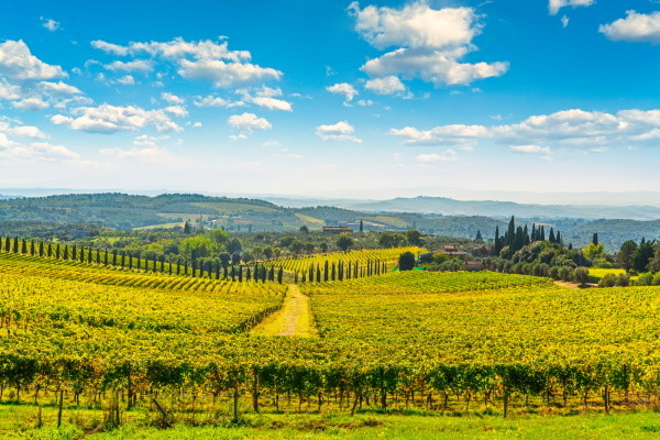 Autotour Autotour - Balade en Toscane : route des vins en 5 nuits *** - 3