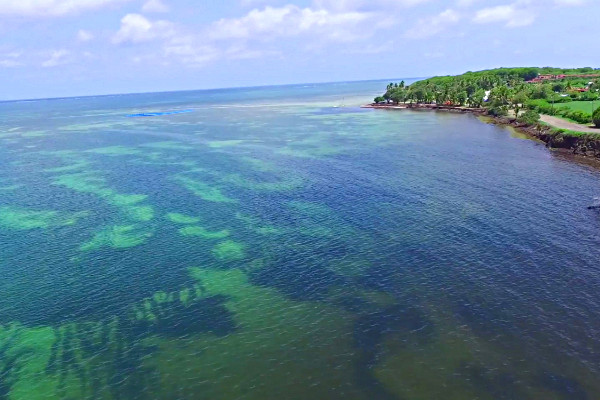 Image 39 du séjour Résidence hôtelière Le Village de la Pointe - Vente Flash **** à Fort de france, Martinique