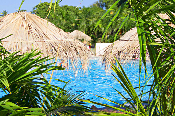 Image 55 du séjour Résidence hôtelière Le Village de la Pointe - Vente Flash **** à Fort de france, Martinique