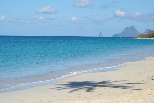 Image 37 du séjour Résidence hôtelière Le Village de la Pointe - Vente Flash **** à Fort de france, Martinique