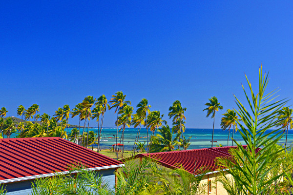 Image 38 du séjour Résidence hôtelière Le Village de la Pointe - Vente Flash **** à Fort de france, Martinique