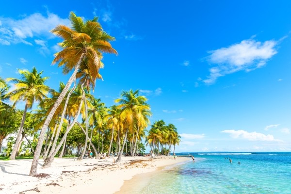 Autotour Trilogie créole en liberté - 28