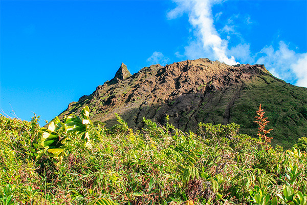 Autotour Trilogie créole en liberté - 32