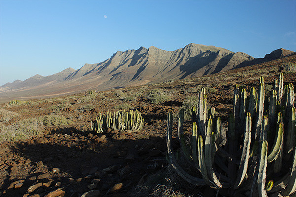 Circuit Fuerteventura entre océan et terres sauvages - logement au Jumbo Royal Suites *** - 11