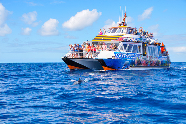 Circuit Fuerteventura entre océan et terres sauvages - logement au Jumbo Royal Suites *** - 10