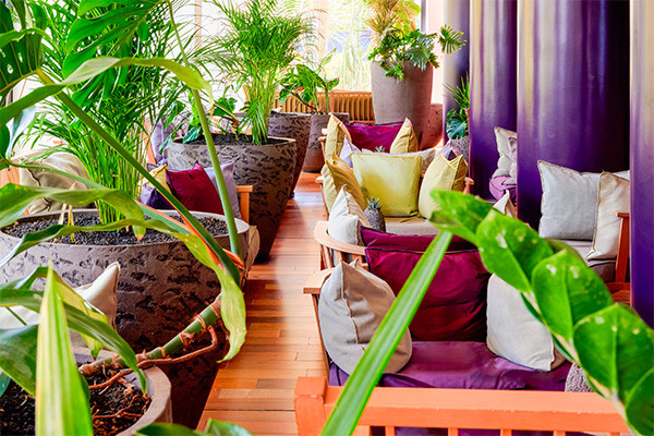 Hôtel Adult Only - Bohemia Suites & Spa ***** - 20