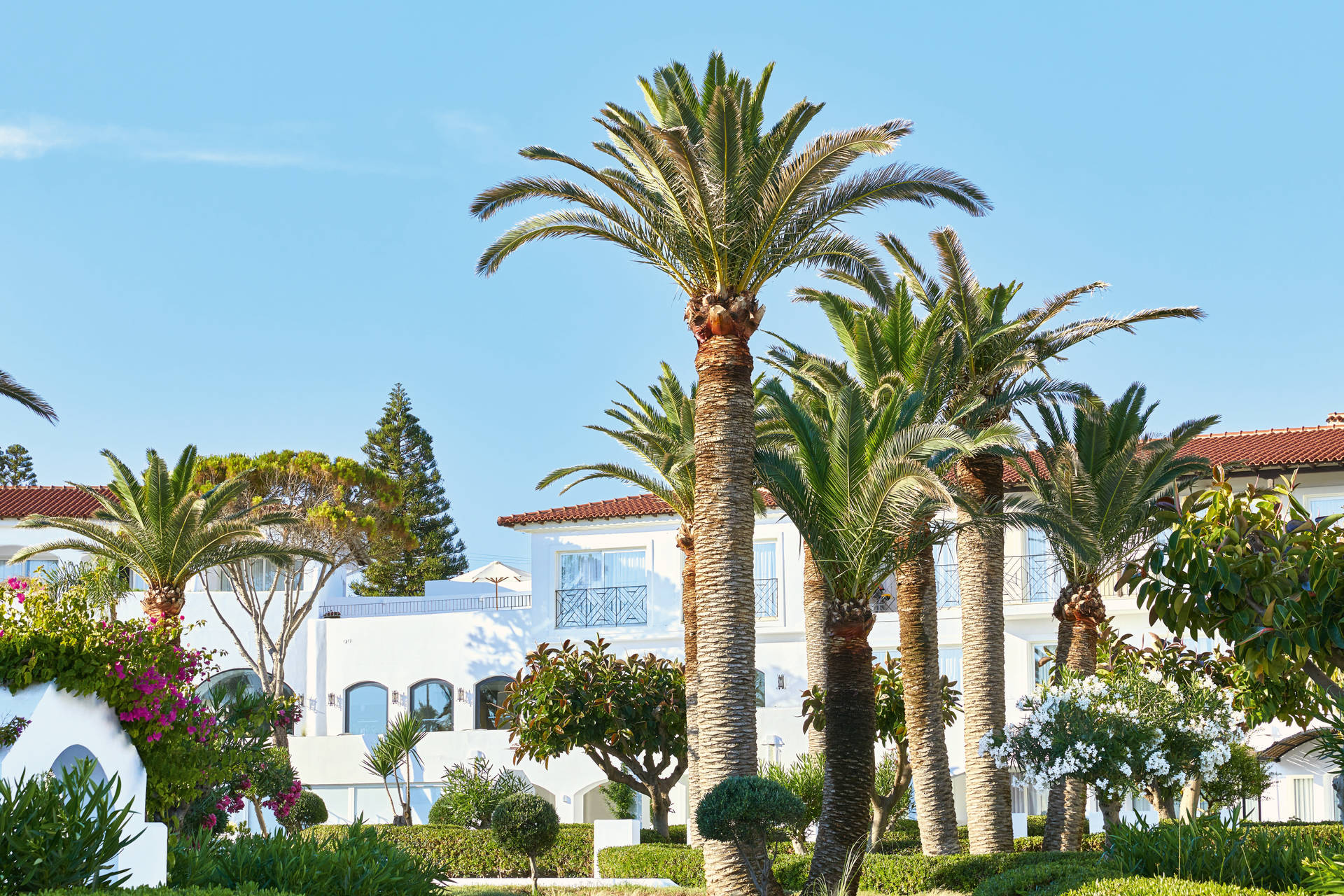 Image 5 du séjour Hôtel Grecotel Caramel Boutique Resort ***** à Rethymnon, Crète