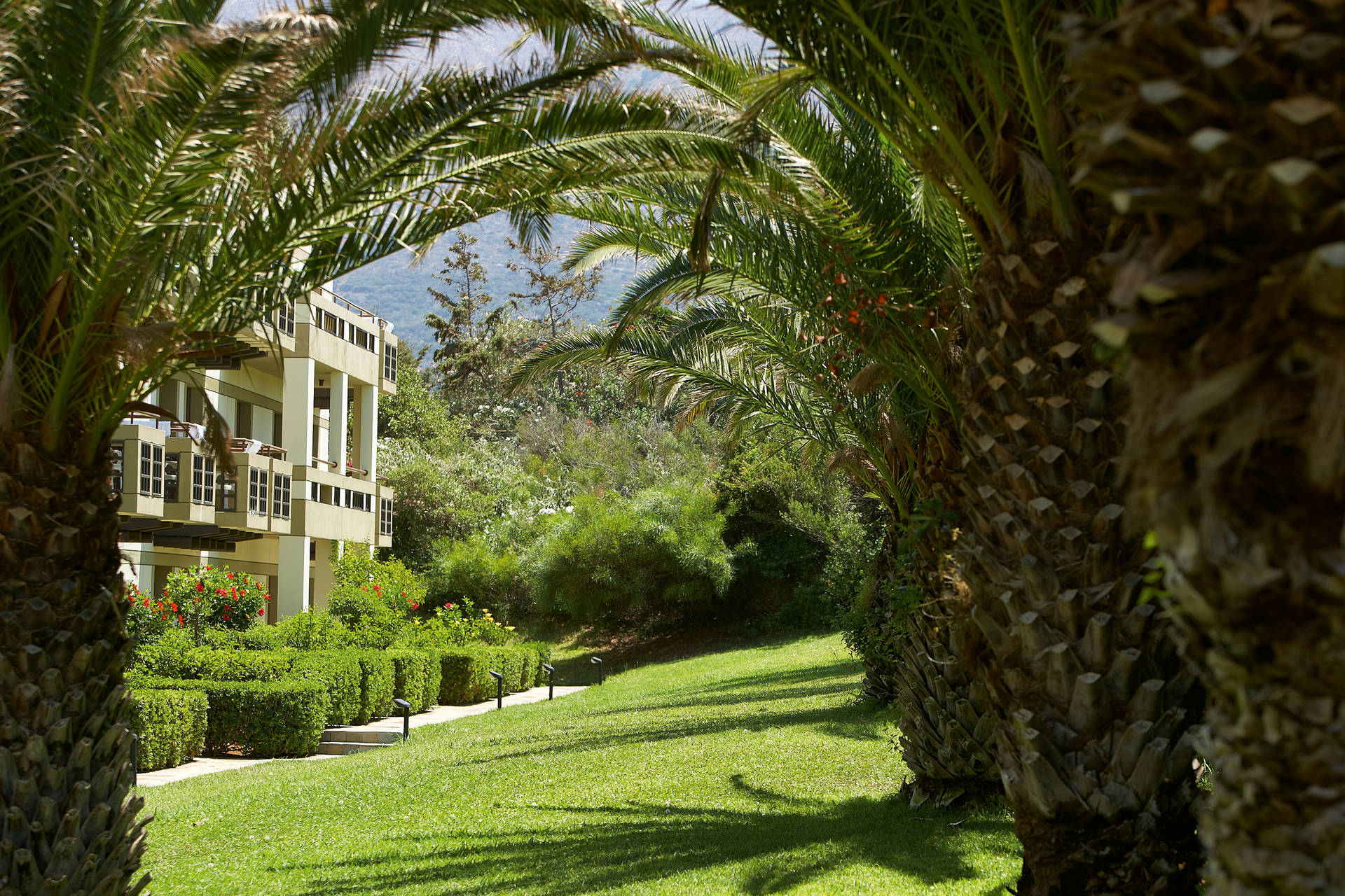 Hôtel Grecotel Meli Palace **** - 5