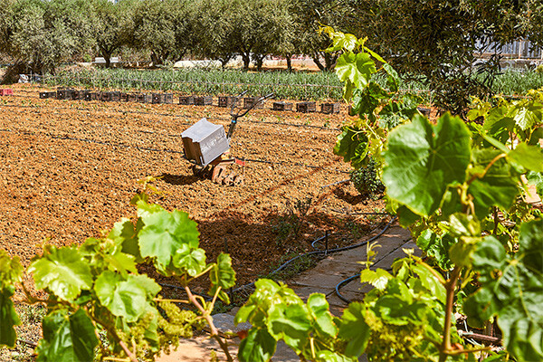 Image 17 du séjour Fram Sélection Hara Ilios Village **** à Gouves, Crète
