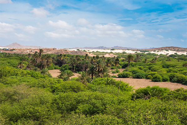 Circuit L'île de Boa Vista, sauvage et nature, logement Framissima Riu Touareg ***** - 2