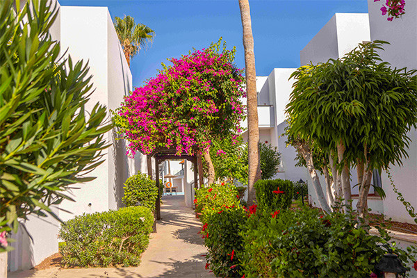 Hôtel Framissima Kapetanios Aqua Resort **** - 22
