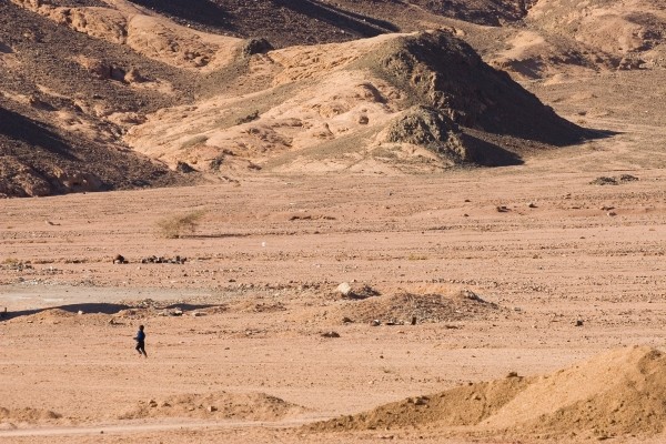 Combiné hôtels Éternelle Louxor aux récifs d'Hurghada **** - 9