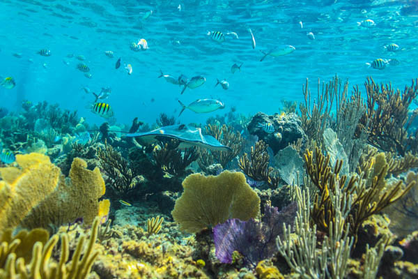 Combiné hôtels Éternelle Louxor aux récifs d'Hurghada **** - 12