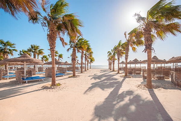 Combiné croisière et hôtel Club Jumbo Trésors au pays des pharaons et extension au Club Jumbo Amwaj Beach Club Abu Soma **** - 18