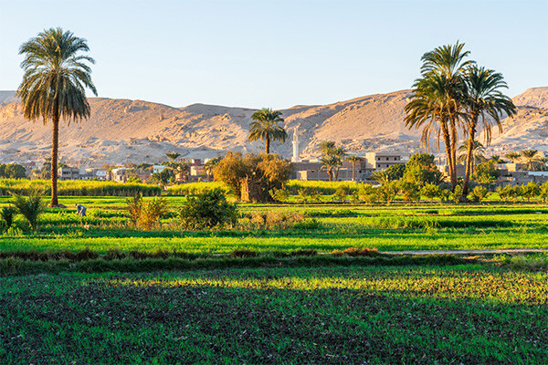 Image 5 du séjour Croisière Gloire des Pharaons (Nile Ferouz) avec excursions au Caire et12 visites incluses ***** à Louxor, Égypte