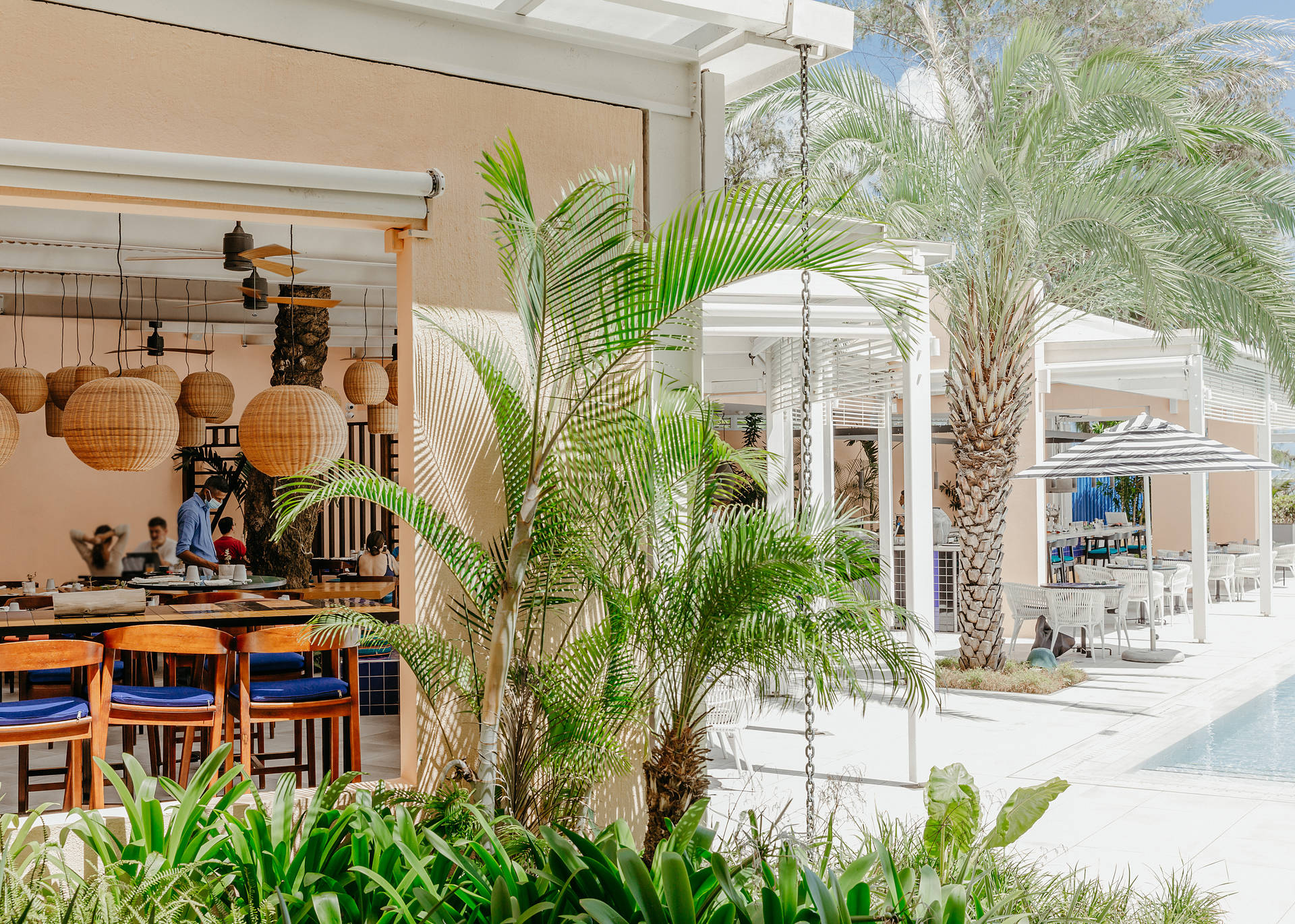 Hôtel Séjour d'exception au SALT of Palmar ***** - 7