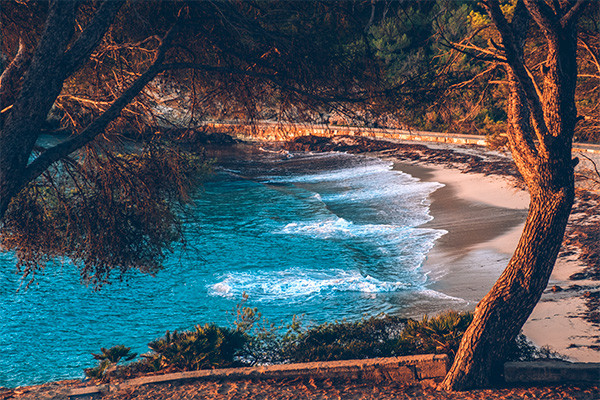 Hôtel Iberostar Waves Pinos Park **** - 2