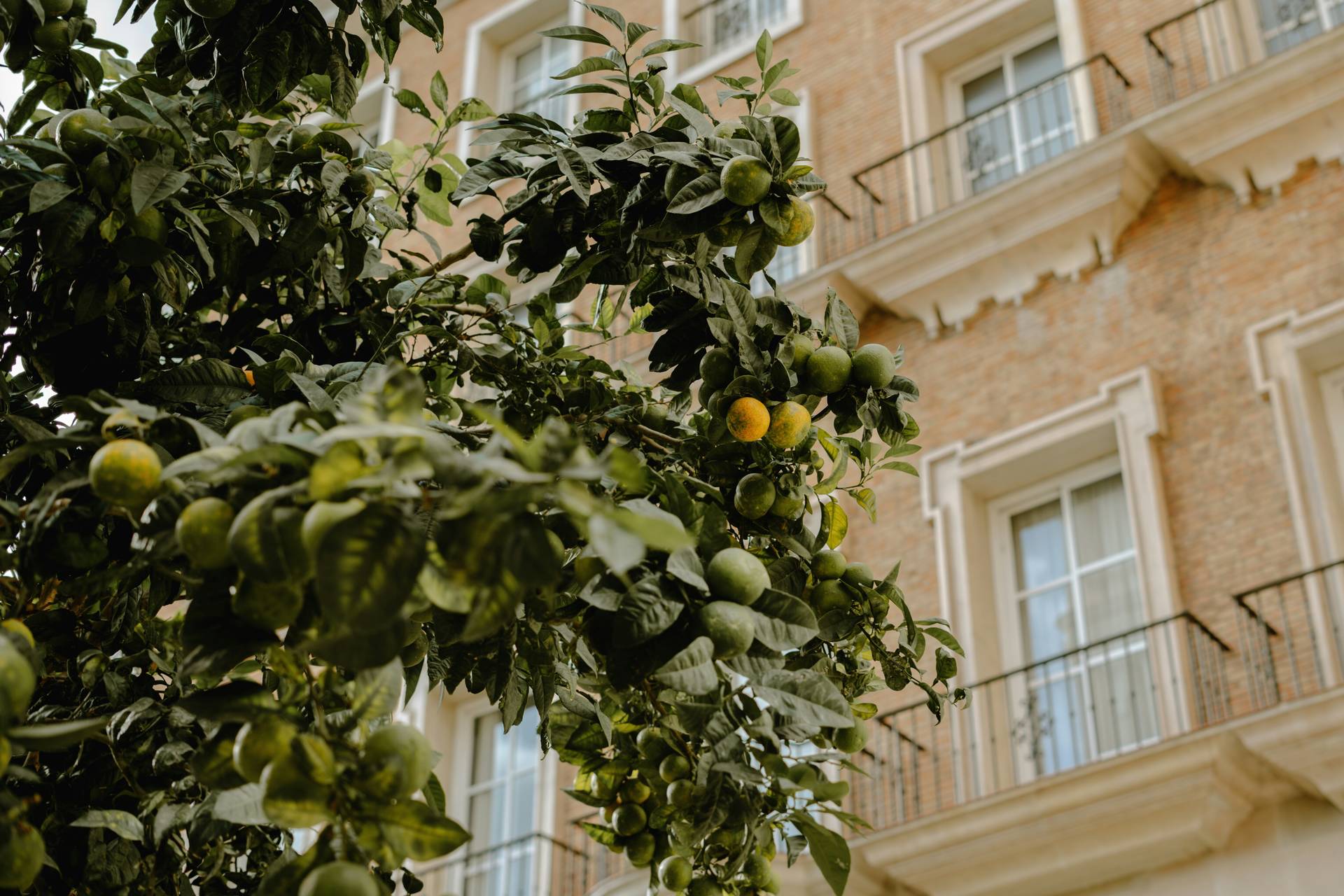 Autotour Andalousie, sur la route des merveilles mauresques - 9