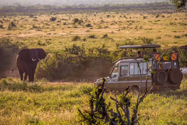 Combiné circuit et hôtel Jacaranda Indian Ocean Beach Resort 4* avec 2 nuits Tsavo Est/Ouest