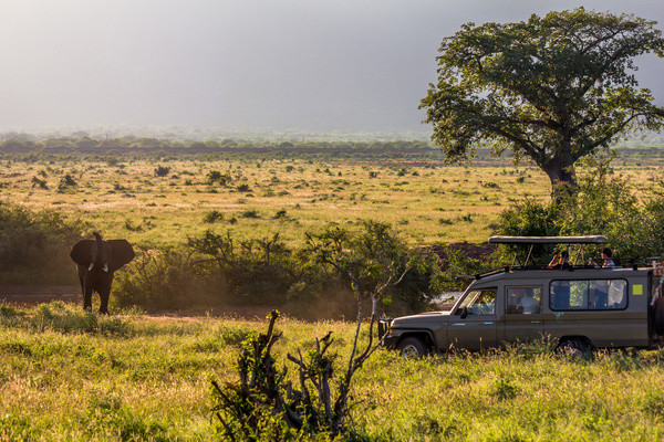 Kenya - Circuit Safari au coeur des grands parcs du Kenya (circuit privatif)