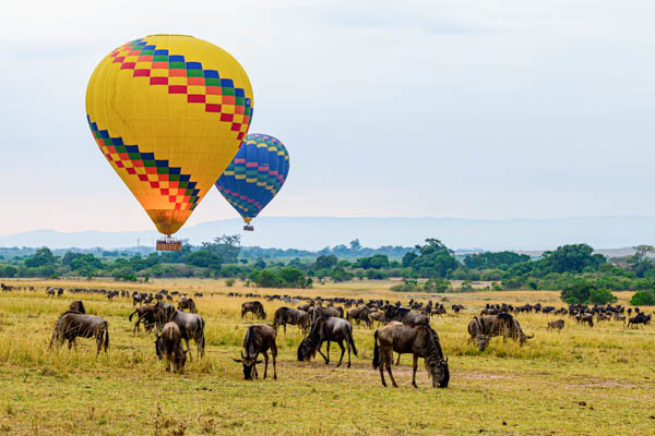 Kenya - Circuit Safari au coeur des grands parcs du Kenya (circuit privatif)