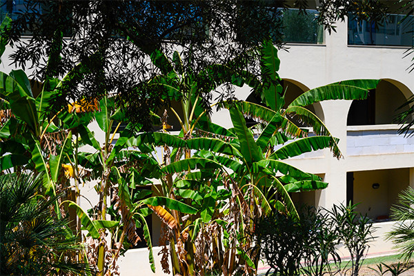 Hôtel Smy Carlos V Wellness & Spa ***** - 14