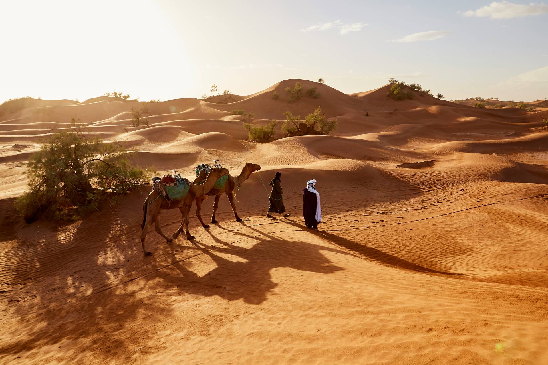Circuit Le souffle des dunes : voyage à pied au coeur du grand sud