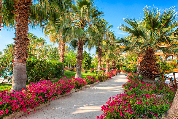 Hôtel Acacia Resort **** - 20