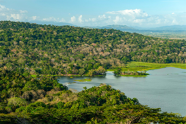 Circuit Panama authentique entre océans et jungles (maximum 16 participants) **** - 7