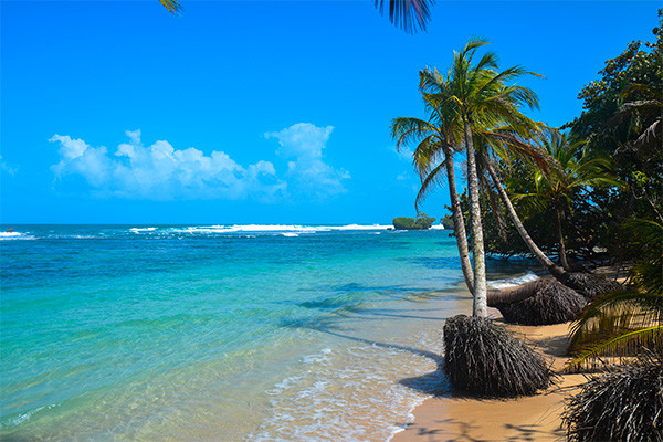 Circuit Panama authentique et plages des Caraïbes (maximum 16 participants) - 21