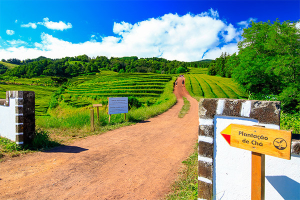 Circuit Combiné 3 îles **** - 5
