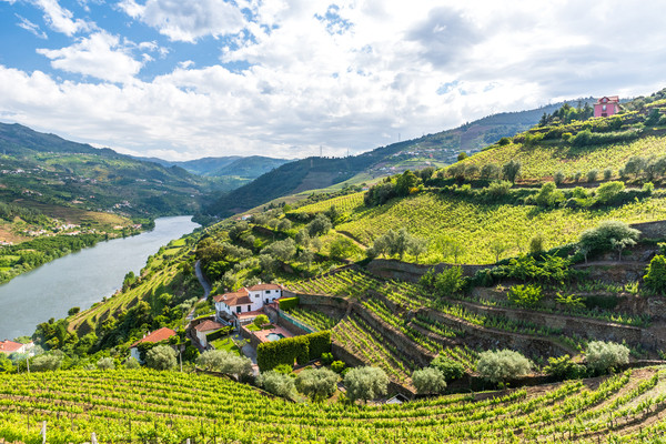 Autotour De la vallée du Douro aux routes de la Serra en liberté - 9