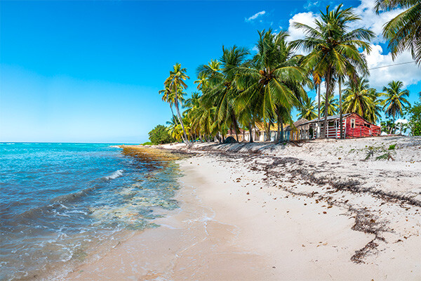 Club Escapades au Coeur des Caraïbes, logement au Framissima Évasion Bakour Punta Cana Suites 4* **** - 5