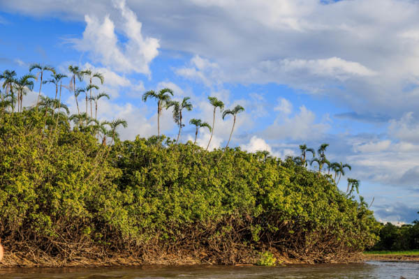 Circuit L'Équateur entre nature et authenticité + pré-tour Amazonie