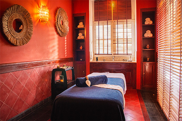 Hôtel Hotel & Spa Saint Alexis **** - 21