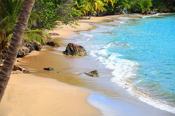 Hôtel Bahia Principe Escape Samana Adult Only +18 ***** - 3
