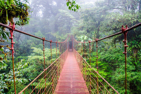 Circuit Jungles et forêts avec Rincon de la Vieja et 2 nuits Puntarenas (maximum 14 participants) - 24