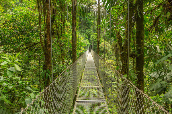 Circuit Jungles et forêts avec Rincon de la Vieja et 2 nuits Puntarenas (maximum 14 participants) - 25