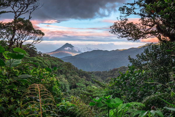Circuit Jungles et forêts avec Rincon de la Vieja et 2 nuits Puntarenas (maximum 14 participants) - 22