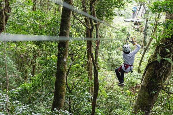 Circuit Aventures aux pays des Ticos