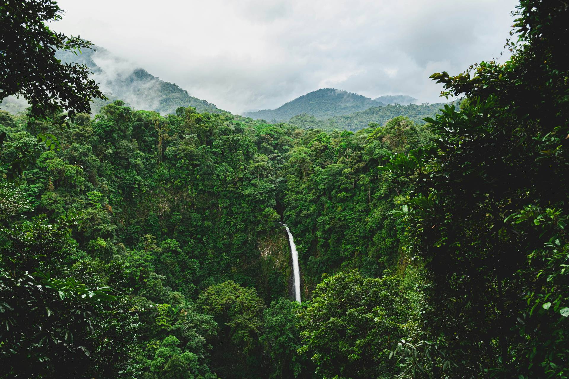 Autotour Harmonie tropicale : le Costa Rica autrement - 6