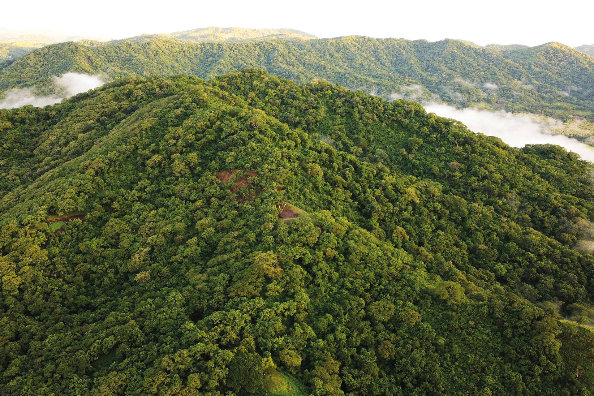 Autotour Harmonie tropicale : le Costa Rica autrement - 8